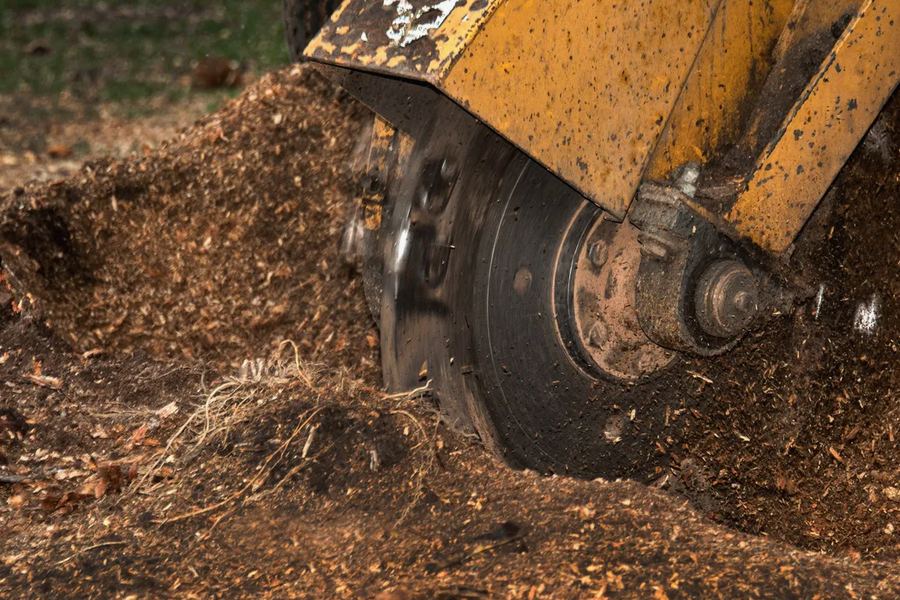 Ground stump and fresh chips in a Millersville, TN yard